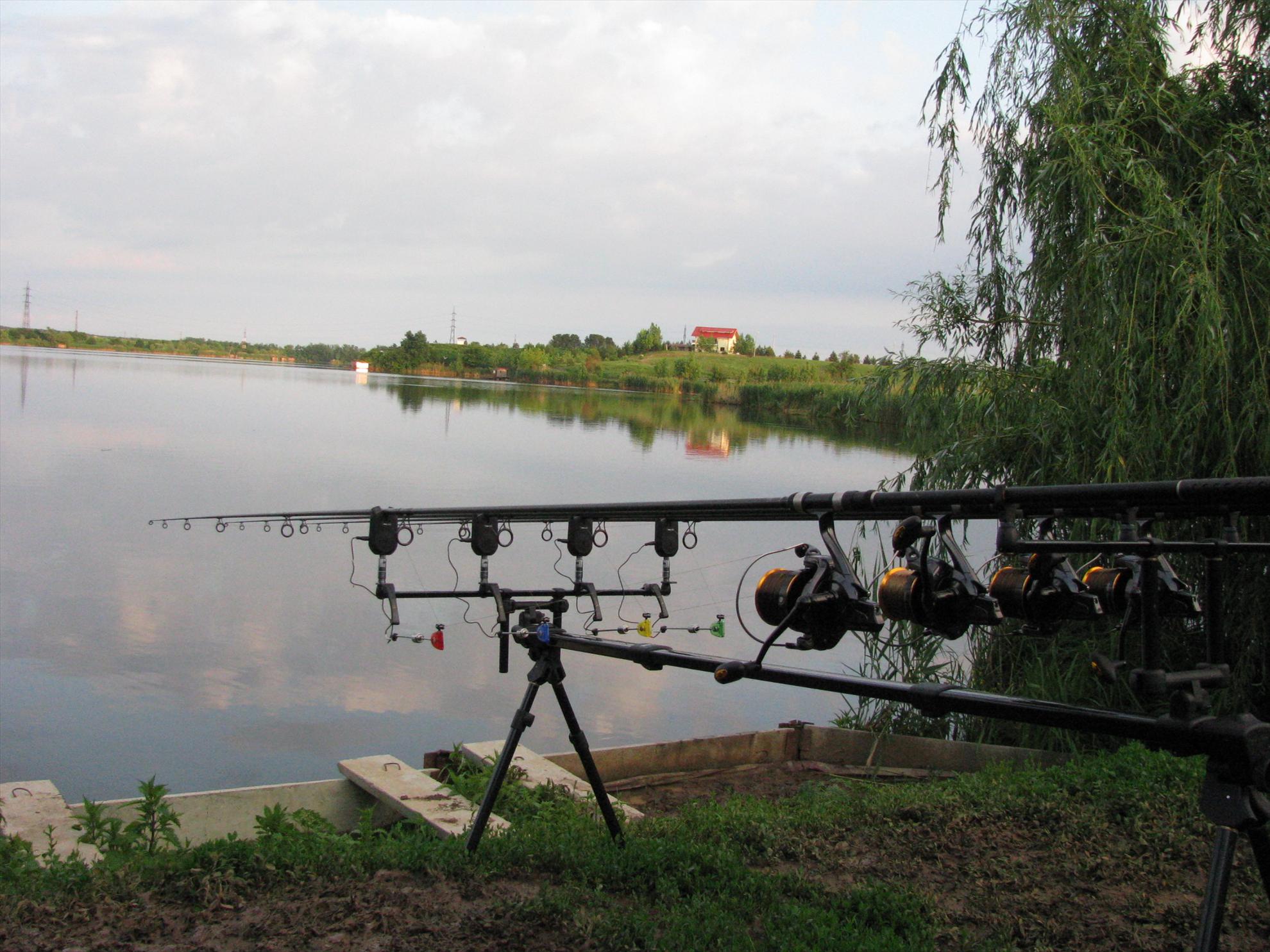 Poze 19-21.05.2012 Tancabesti Avicola 2 - img0166.JPG